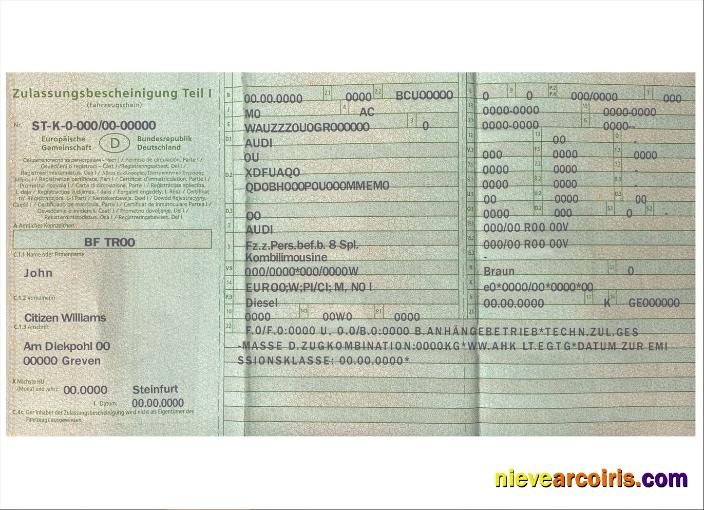 Germany vehicle registration certificate